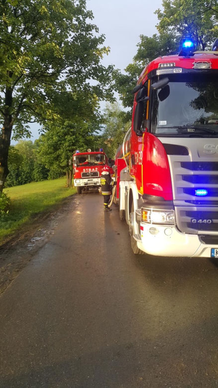 Wielki pożar w Małopolsce. Spłonęło bydło i pies