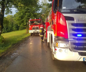Wielki pożar w Małopolsce. Spłonęło bydło i pies