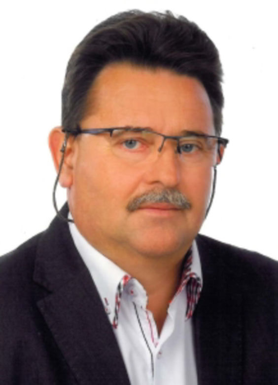 Rój pszczół zaatakował auto
