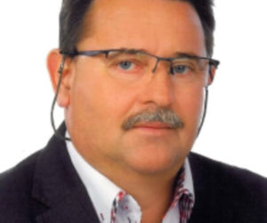 Rój pszczół zaatakował auto