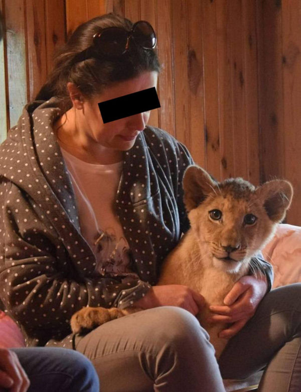 Zatrzymanie Ewy Z. - dyrektorki zoo w Poznaniu