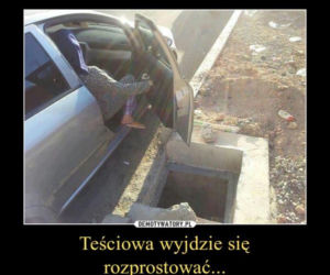 Tych memów o teściowych nie pokażesz mamie! Internauci nie mają litości