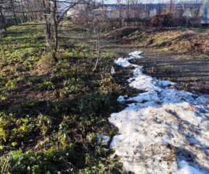 Atak nożownika. Rodzina zastrzelonego Łukasza W. w szoku