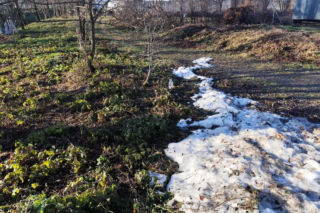 Atak nożownika. Rodzina zastrzelonego Łukasza W. w szoku