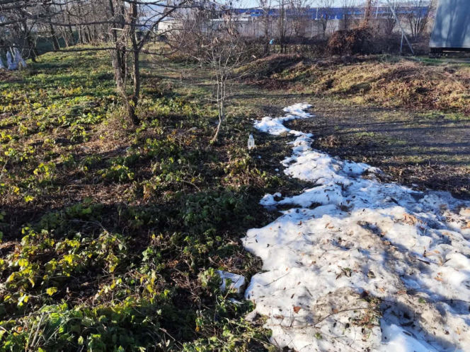 Atak nożownika. Rodzina zastrzelonego Łukasza W. w szoku