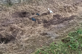 Zatłukł lekarkę, bo chciała od niego odejść? Wstrząsające ustalenia