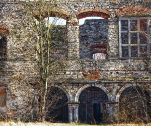 Ruiny Pałacu w Podzamczu Piekoszowskim