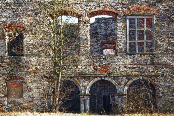 Ruiny Pałacu w Podzamczu Piekoszowskim