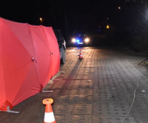 Koń ZABIŁ motorowerzystę?! ZOBACZ ZDJĘCIA