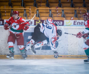 KH Energa Toruń - Zagłębie Sosnowiec 1:0, zdjęcia z Tor-Toru