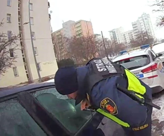  Dramat na Białołęce. Pies zamarzał w zamkniętym aucie