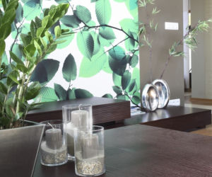 zew natury salon3