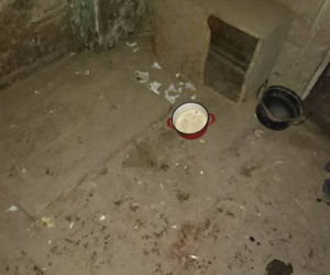 Pseudohodowla w Nowej Świdnicy