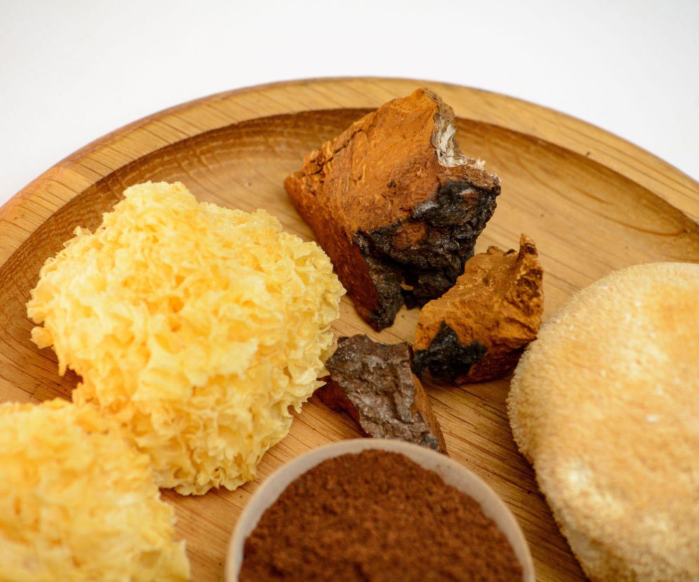 Grzyby, które dodadzą Ci energii i poprawią koncentrację? Oto nowy, zdrowy trend, który warto znać