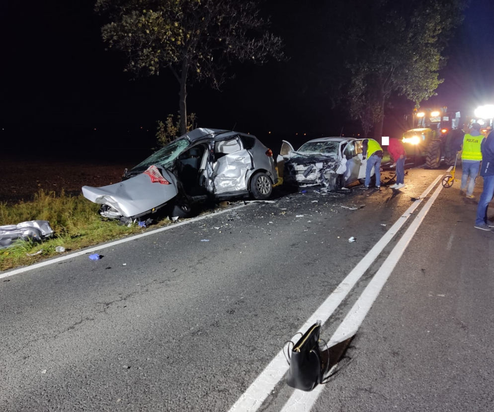 Tragiczny finał manewru w niedozwolonym miejscu 