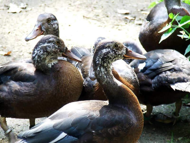Tierpark Cottbus