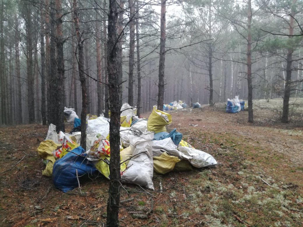 Hałda śmieci w wielkopolskim lesie