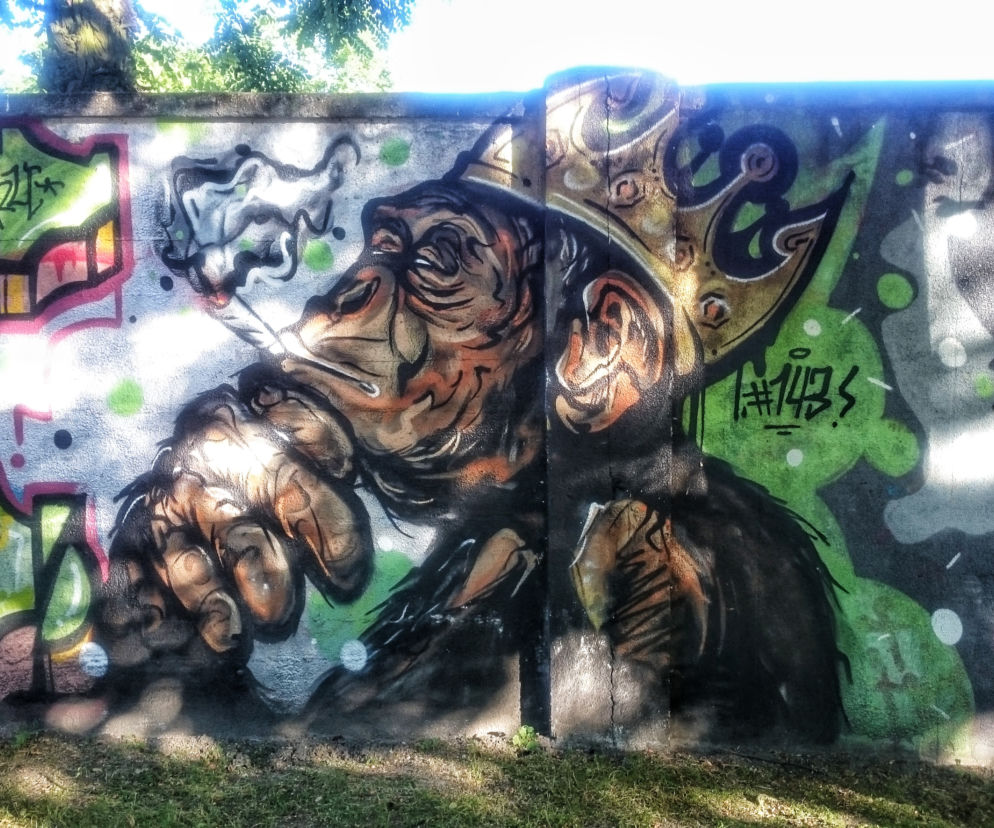 Graffiti na łódzkim zoo