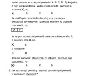 Egzamin ósmoklasisty 2020 - arkusz egzaminacyjny z jęz. polskiego