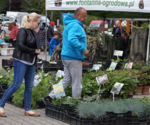 Wiosenny Kiermasz Ogrodniczy w Bydgoszczy [ZDJĘCIA]