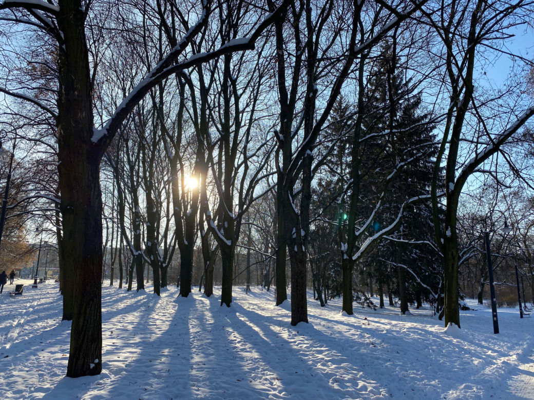 Śnieżna zima w Parku Praskim