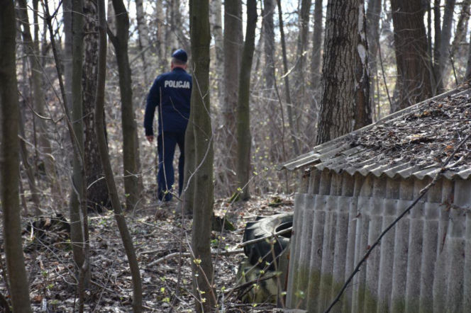 Zaginiony znaleziony