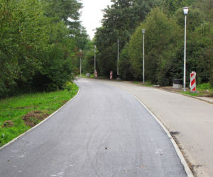 Remont ścieżki na Lisią Górę na finiszu