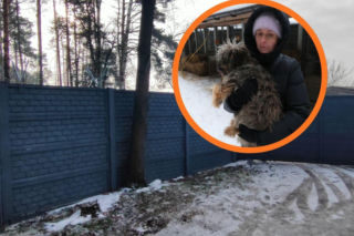 Psy z Sobolewa jeszcze nie do adopcji. Do ośrodka w Wojtyszkach rusza pomoc od Dody