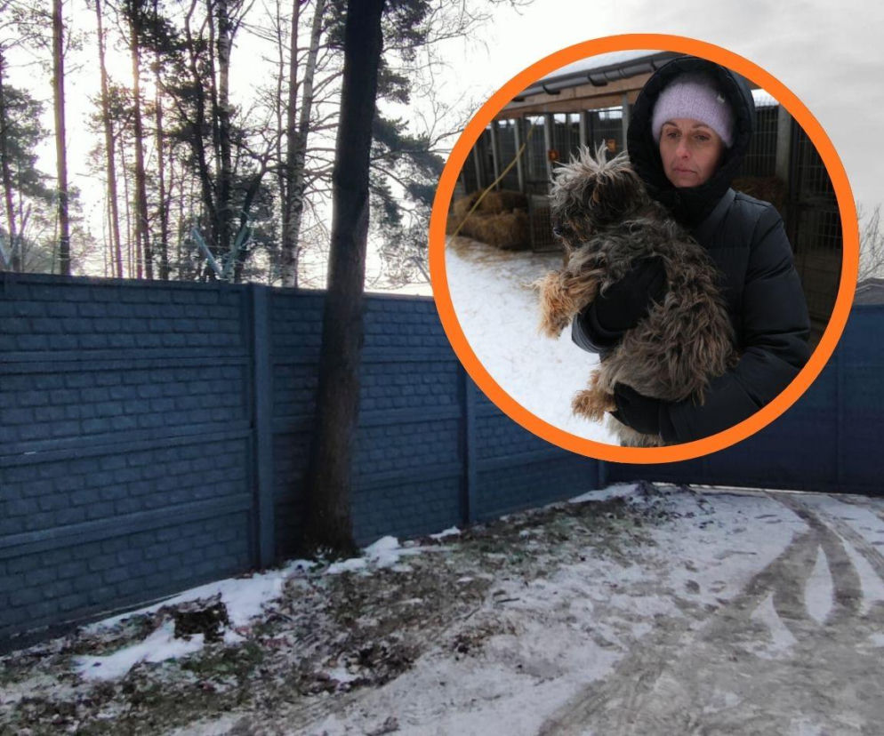 Co dalej z psami z Sobolewa? Adopcje wstrzymane, do ośrodka płynie pomoc od Dody