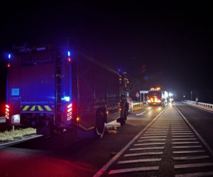 Autobus z pielgrzymami zderzył się z owcą, a gdy zatrzymał się na drodze, w jego tył uderzyła nadjeżdżająca ciężarówka