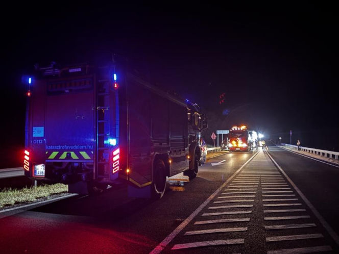 Autobus z pielgrzymami zderzył się z owcą, a gdy zatrzymał się na drodze, w jego tył uderzyła nadjeżdżająca ciężarówka