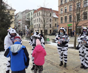 29. finał WOŚP w Toruniu! Tak wyglądało niedzielne święto