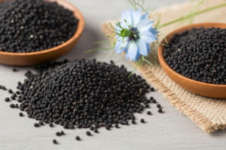 Czarnuszka siewna w świetle badań nad lipidami i otyłością