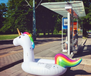 Najpopularniejsze zdjęcia Lidla na Instagramie