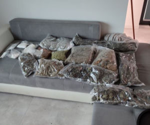 Wielka akcja policji z Płocka! Mundurowi znaleźli 20 kg narkotyków [ZDJĘCIA]