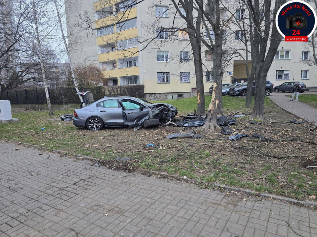 Wjechał na trawnik i uderzył w drzewo. Szokujący powód