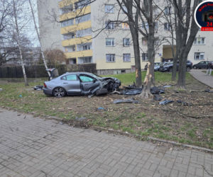 Wjechał na trawnik i uderzył w drzewo. Szokujący powód