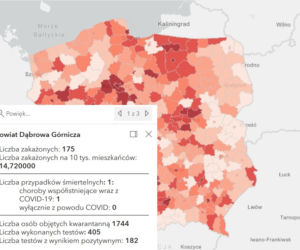 Koronawirus w województwie śląskim. Tak wygląda sytuacja w poszczególnych powiatach [RAPORT, 19 MARCA]