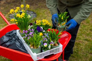 Wiosenne porządki w ogrodzie