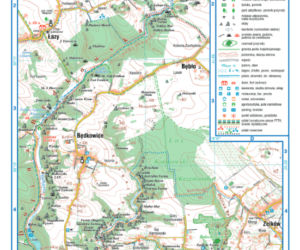 Arkusz geografia podstwowy matura 2014