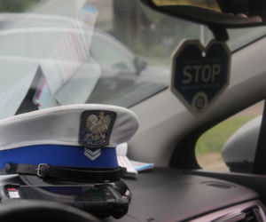Akcja „EDWARD” w powiecie toruńskim - policjanci ujawnili sporo grzechów kierowców
