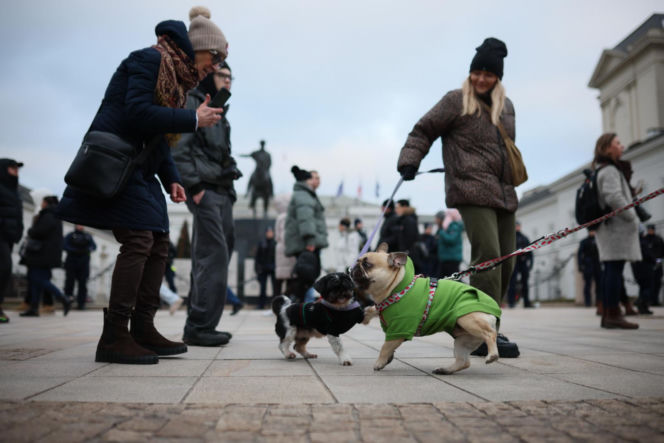 Wielki Marsz dla Zwierząt po wecie prezydenta