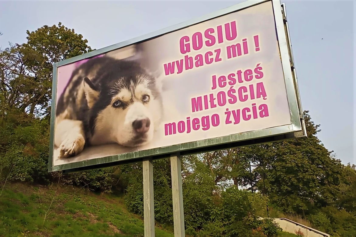 Nietypowe billboardy w Szczecinie