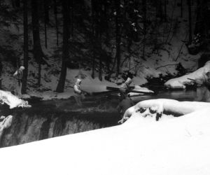 Żołnierze jednorazowego użytku