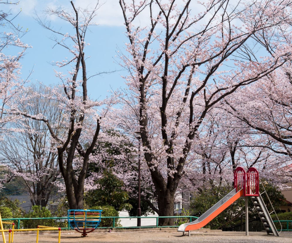 Place zabaw