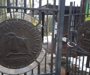 ZOO Toruń zaprasza!