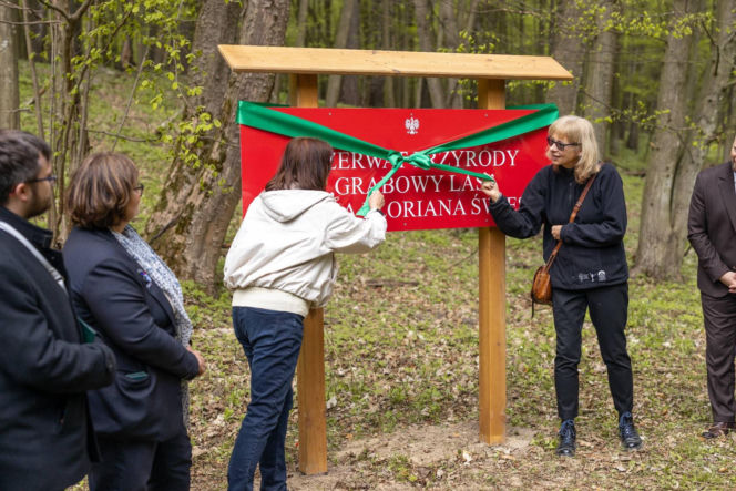 Nowe rezerwaty na terenie woj. lubelskiego