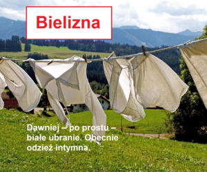 Język żyje — zmienia go historia, migracje, zapożyczenia z innych języków, a nawet technologia