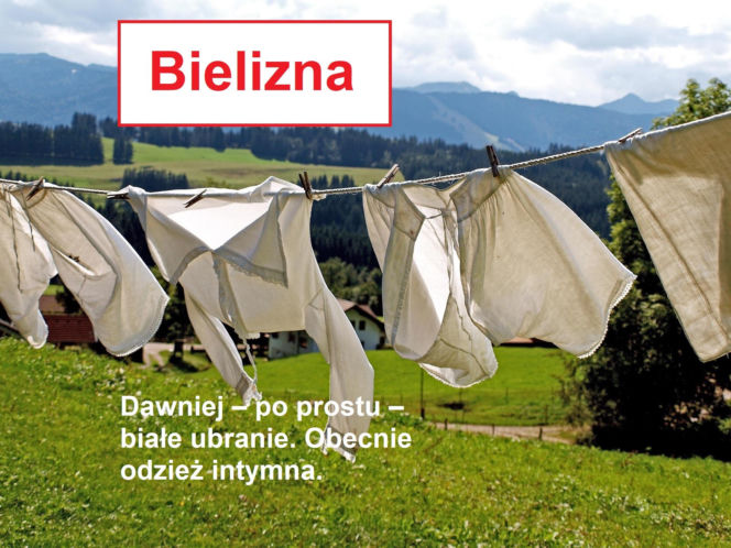 Język żyje — zmienia go historia, migracje, zapożyczenia z innych języków, a nawet technologia