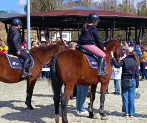 Konna święconka w Szczecinie